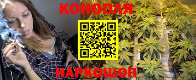 сатива Волжский