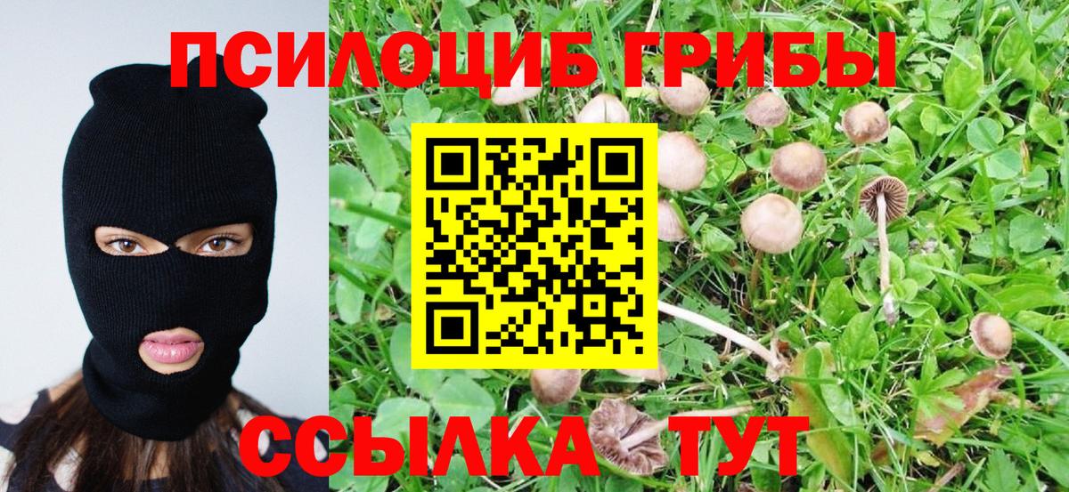 Псилоцибиновые грибы Psilocybe  Вход с VPN  Мытищи 