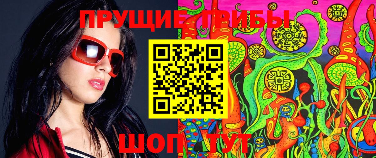 Галлюциногенные грибы Psilocybine cubensis Мытищи