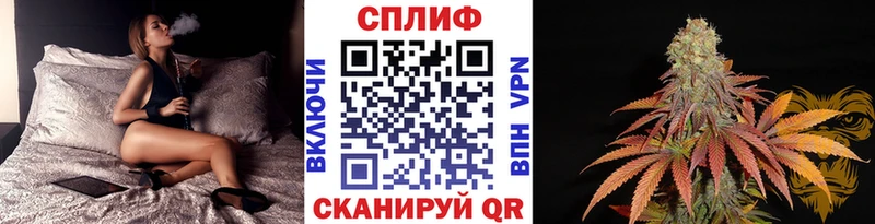 мориарти официальный сайт  Мытищи  Шишки марихуана Amnesia 